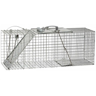 Havahart Large 1 Door trap