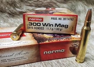 NORMA PRO HUNTER 300WIN ORYX 11.7G/180GR