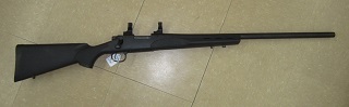 Remington 700 SPS 204Ruger