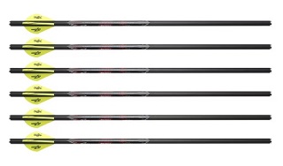 Excalibur Quill Carbon Micro Arrows 16.5