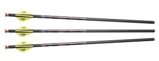 Excalibur Quill Illuminated Carbon Arrows 16,5