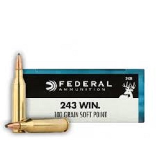 Federal power Shok 243 Win, 100Gr Soft-Point