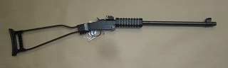 Chiappa Little Badger 22lr