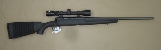 Savage Axis 22-250