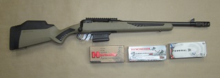 Savage 110 Scout 450Bushmaster