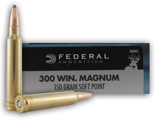 Federal Power-Shok 300 win mag 