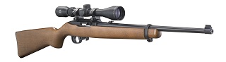 Ruger 10/22 Combo Hardwood 22lr