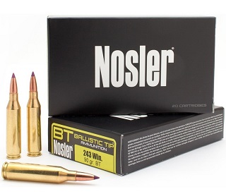 Nosler Ballistic Tip 243win 90gr BT