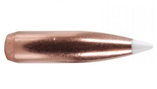 Nosler - .308 DIA 180gr Accubond Spitzer