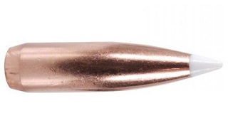 Nosler - .308 DIA 165r Accubond Spitzer