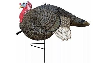 Primos Hunting Gobbstopper Jake Turkey Decoy
