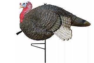 Primos Hunting Gobbstopper Jake Turkey Decoy