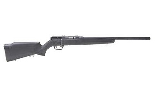 Savage B17FV 17hmr