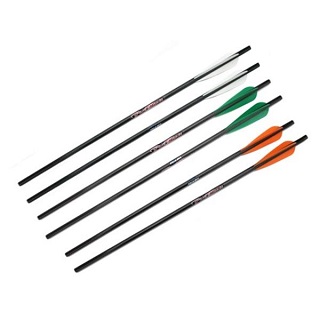 Excalibur Firebolt Carbon Arrows 20