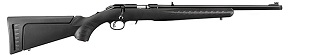 Ruger American Rimfire 22mag