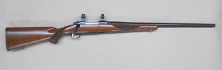 Ruger M77 22-250