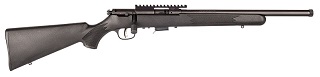 Savage 93 FV-SR 22mag