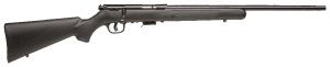 Savage 93R17 F 17hmr