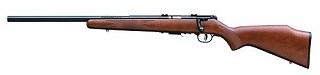 Savage 93R17 GLV 17hmr (gaucher)