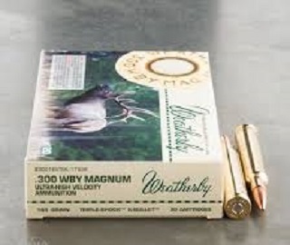 300 Weatherby Magnum 165 Gr