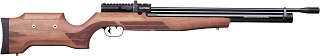 Benjamin Cayden PCP Powered Air Rifle .22 cal.