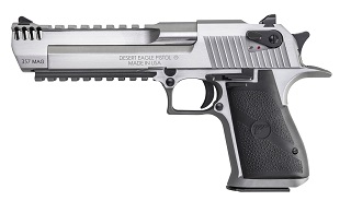 Magnum Research Desert Eagle STS 357mag