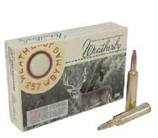 Weatherby 257 magnum 100Gr Spitzer