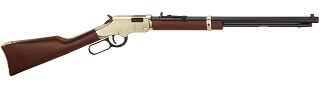 Henry Golden Boy 17HMR