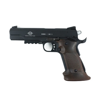 GSG 1911 22LR TARGET