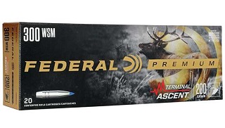 Federal Terminal Ascent 300wsm 200gr