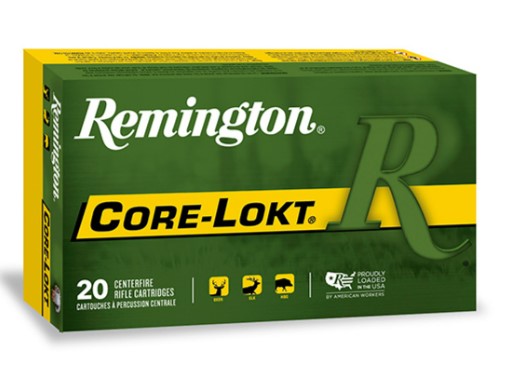 Remington Core Lokt 30-06 180gr SP