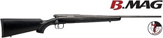 Savage Bmag  17 Wsm